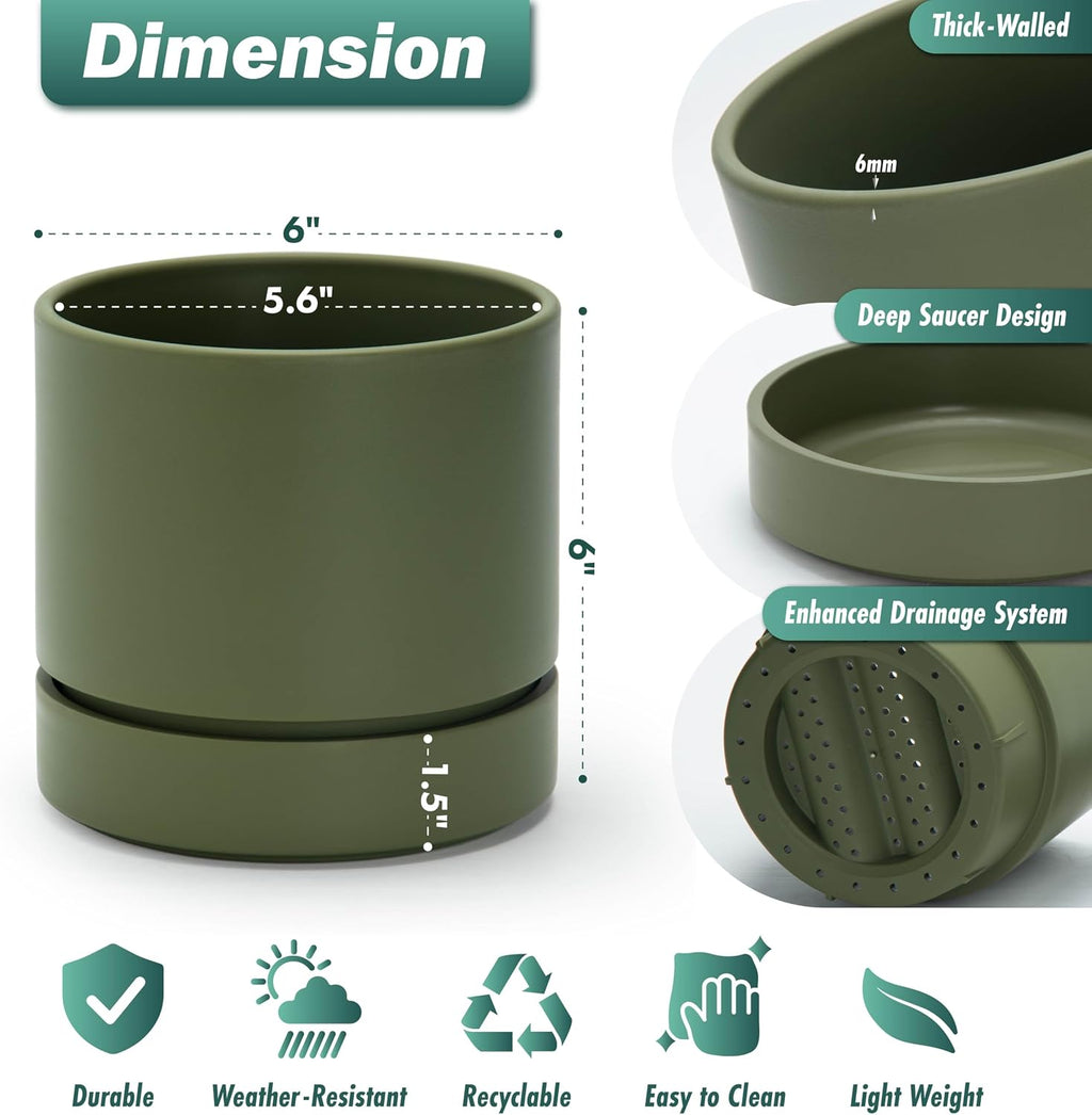 Phoenix Vine 6 Inch Planter Pot with Drainage Hole & Saucer, Deep Water Catch Tray, Straight Cylindrical Round Pot for