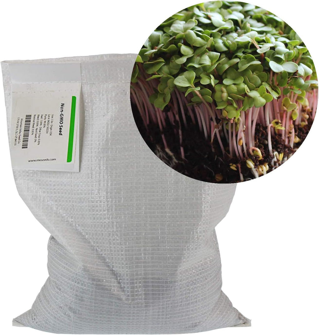 Mountain Valley Seed Co Radish Sprouting Seed - Red Arrow Variety - 5 Lb | Bulk Seed - Heirloom Radish Sprouts