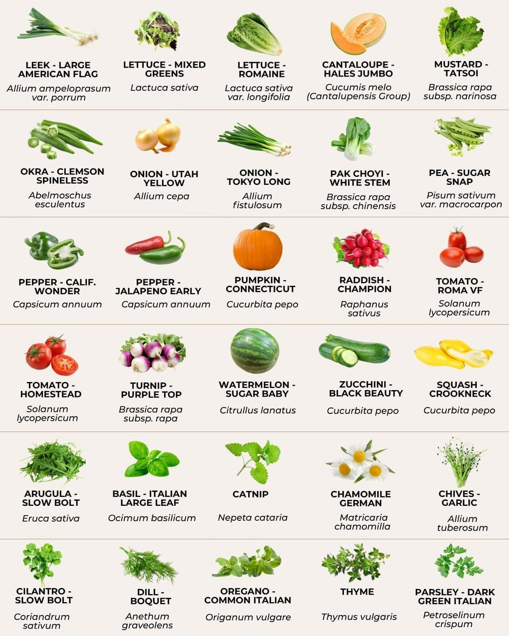 Tactiko Vegetable, Herb and Fruit Seed Kit | 50 Varieties | 37,000+ Non-GMO