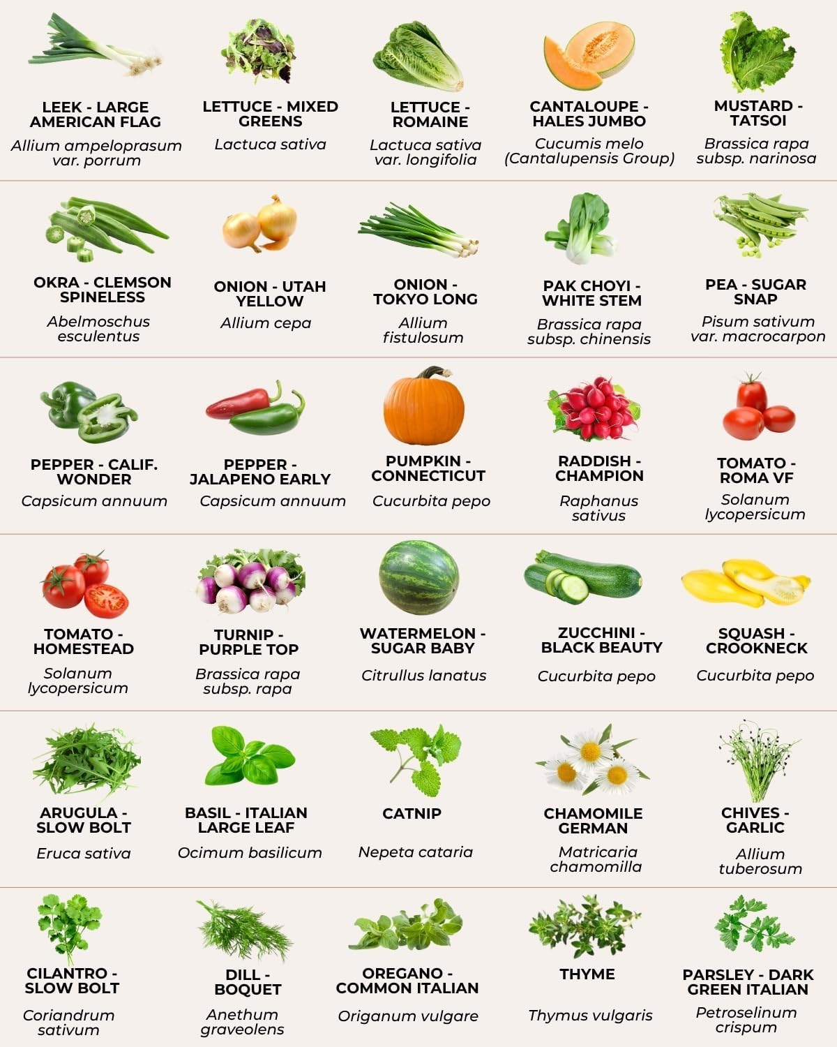 Tactiko Vegetable, Herb and Fruit Seed Kit | 50 Varieties | 37,000+ Non-GMO