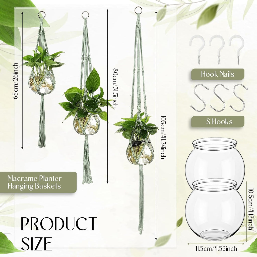 Colingmill 6 Pcs Plastic Plant Propagation with Boho Macrame Hanger Wall Plant Propagation Station Hanging Holder