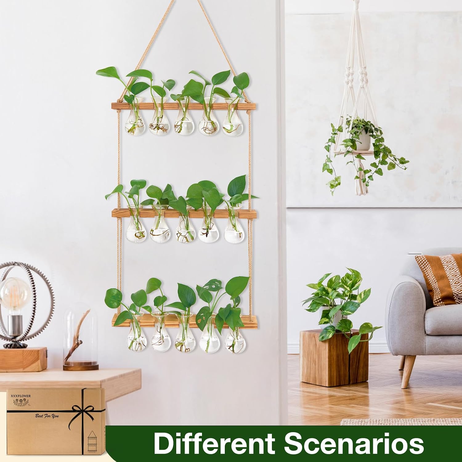 XXXFLOWER Wall Hanging Propagation Station 5 Bulb Vase 3 Tiers | Hanging Plant Holder Wall Hanging Planters for Indoor