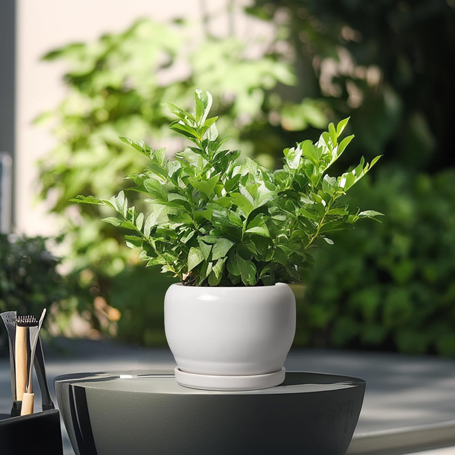 SQOWL Ceramic Flower Pots - 6 Inch Plant Pot Indoor Outdoor, Ceramic Planter with Drainage Hole and Saucer, Modern