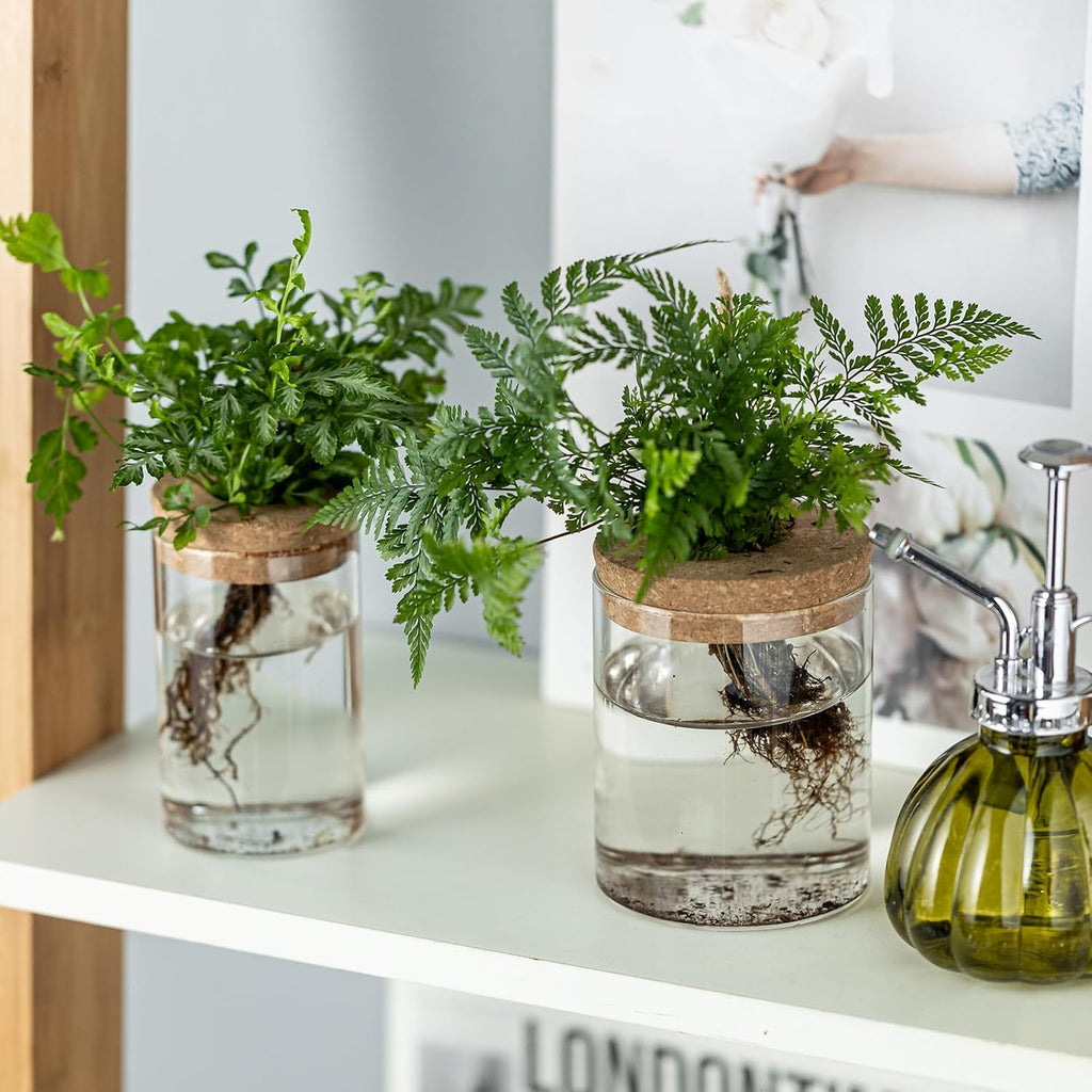 Plant Propagation Stations for Plants, 2 Size Glass Propagation Vases for Propagating Hydroponic Indoor Home Office
