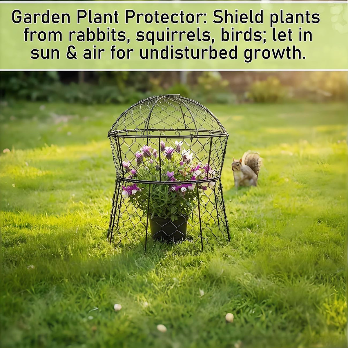 Garden Cloches for Plants 2 Pack Metal Plant Protectors from Animals Chicken Wire Cloche Updated Plant Cages for
