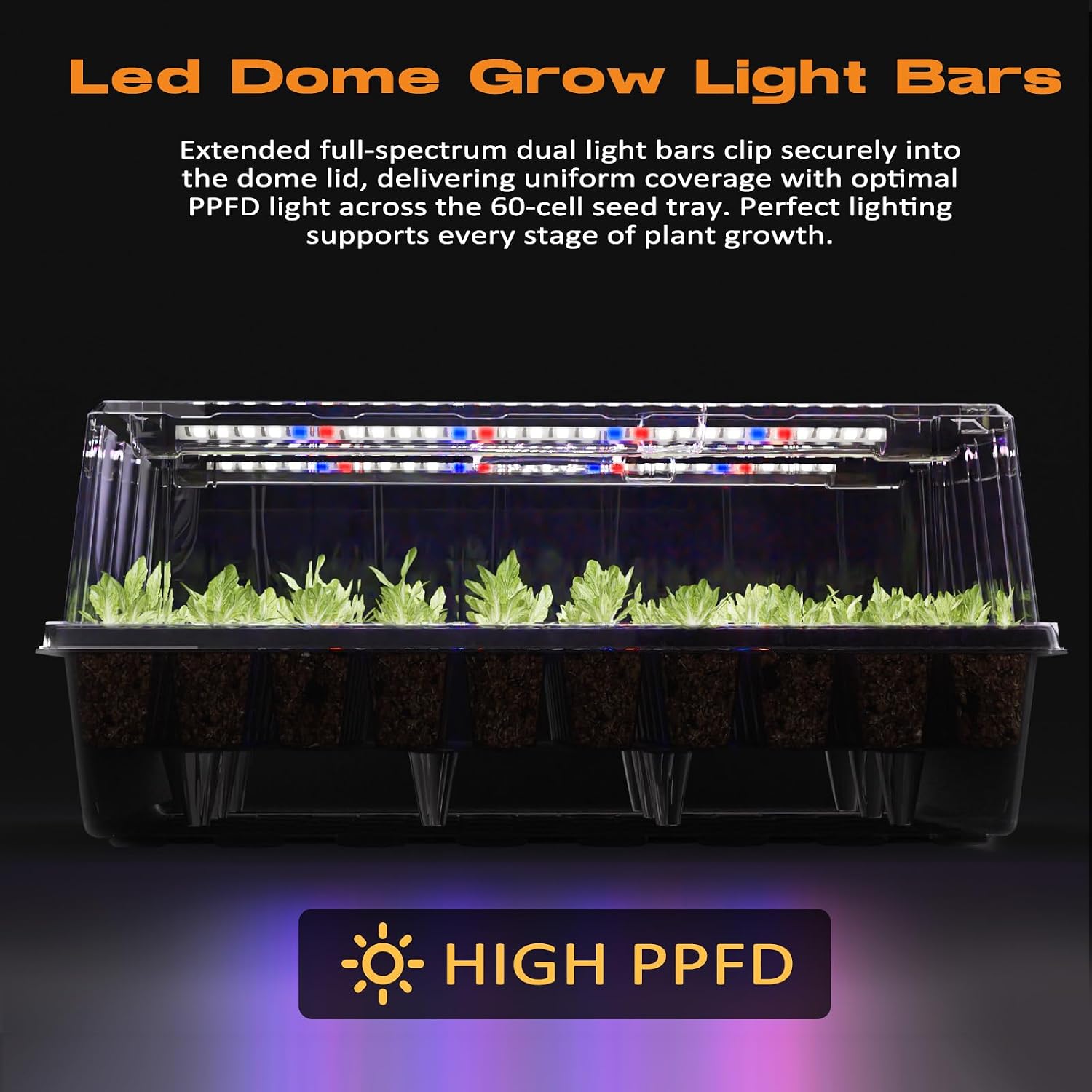 Patigrow 60-Cell Self-Watering Seed Starter Tray with Grow Light, Seed Starter Kit with 4.07” Humidity Dome, Indoor