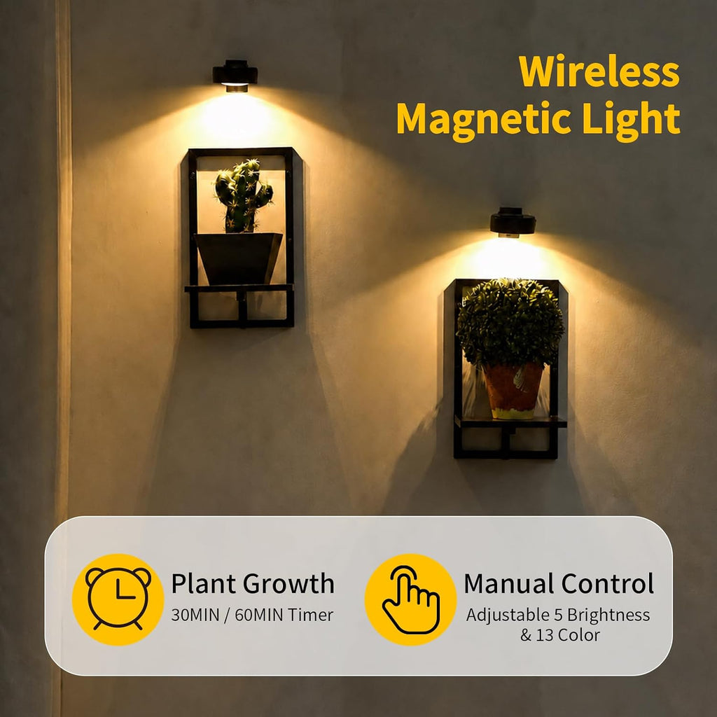 Wall Planters with Grow Lights, Set of 2 Indoor Hanging Shelves for Bedroom, Living Room, Bathroom, Kitchen, Entryway