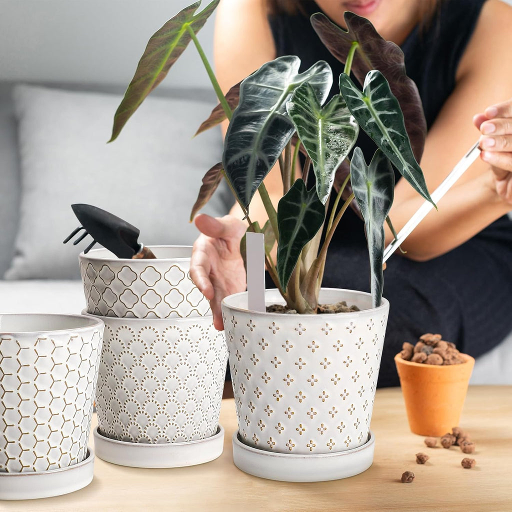 EFISPSS Ceramic Plant Pots Indoor, 5 Inch Planters with Drainage Holes and Ceramic Tray, Relief Design Flower Planter