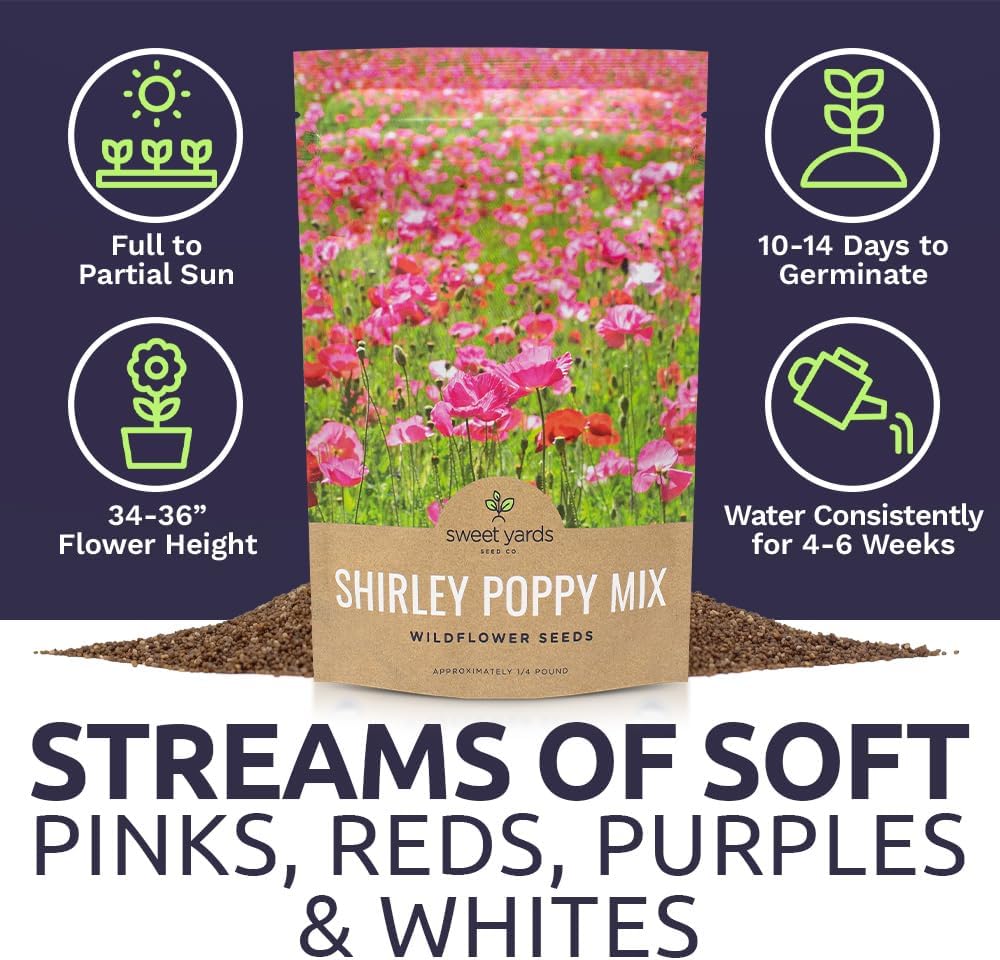 Shirley Poppy Seeds – Mixed Colors – Bulk Quarter Pound Bag – Over 800,000 Open Pollinated Non-GMO Wildflower Seeds –