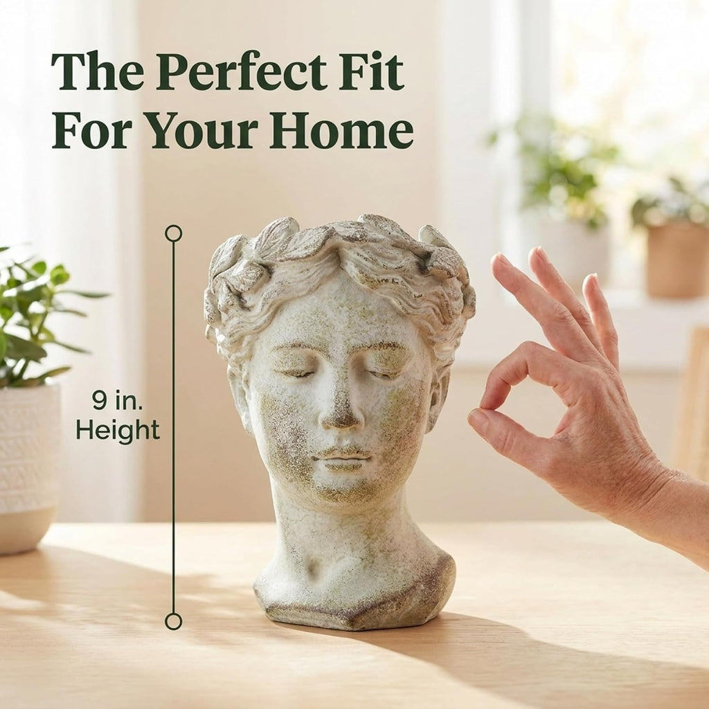 Greek/Roman Style Female Statue Head Cement Planter (Style 1) | Beautiful Woman's Head Pot for Indoor Home Decor or