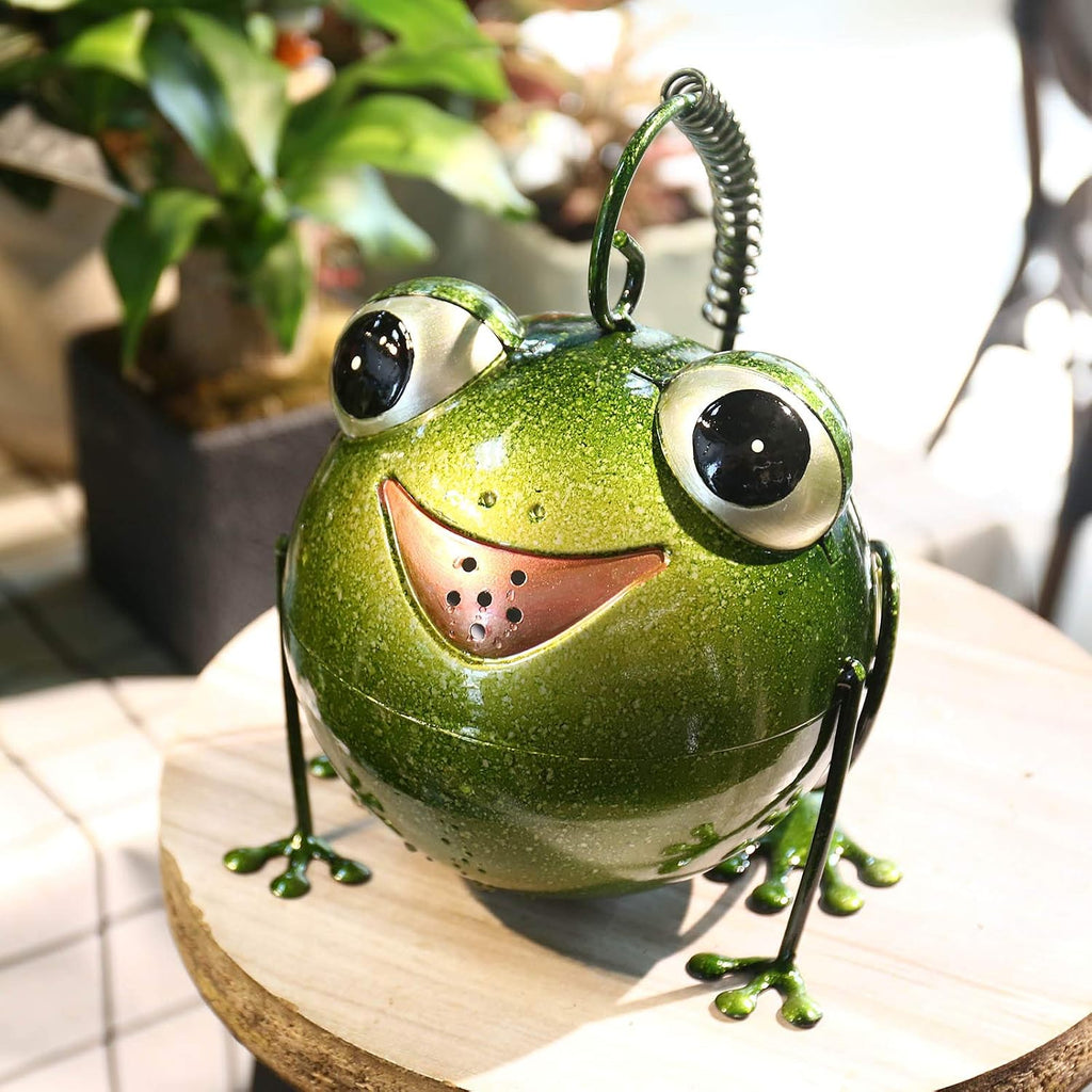 Frog Watering Can for Outdoor Indoor House Bonsai Plants Flower Sprinkling Pot Yard Lawn Garden Decor
