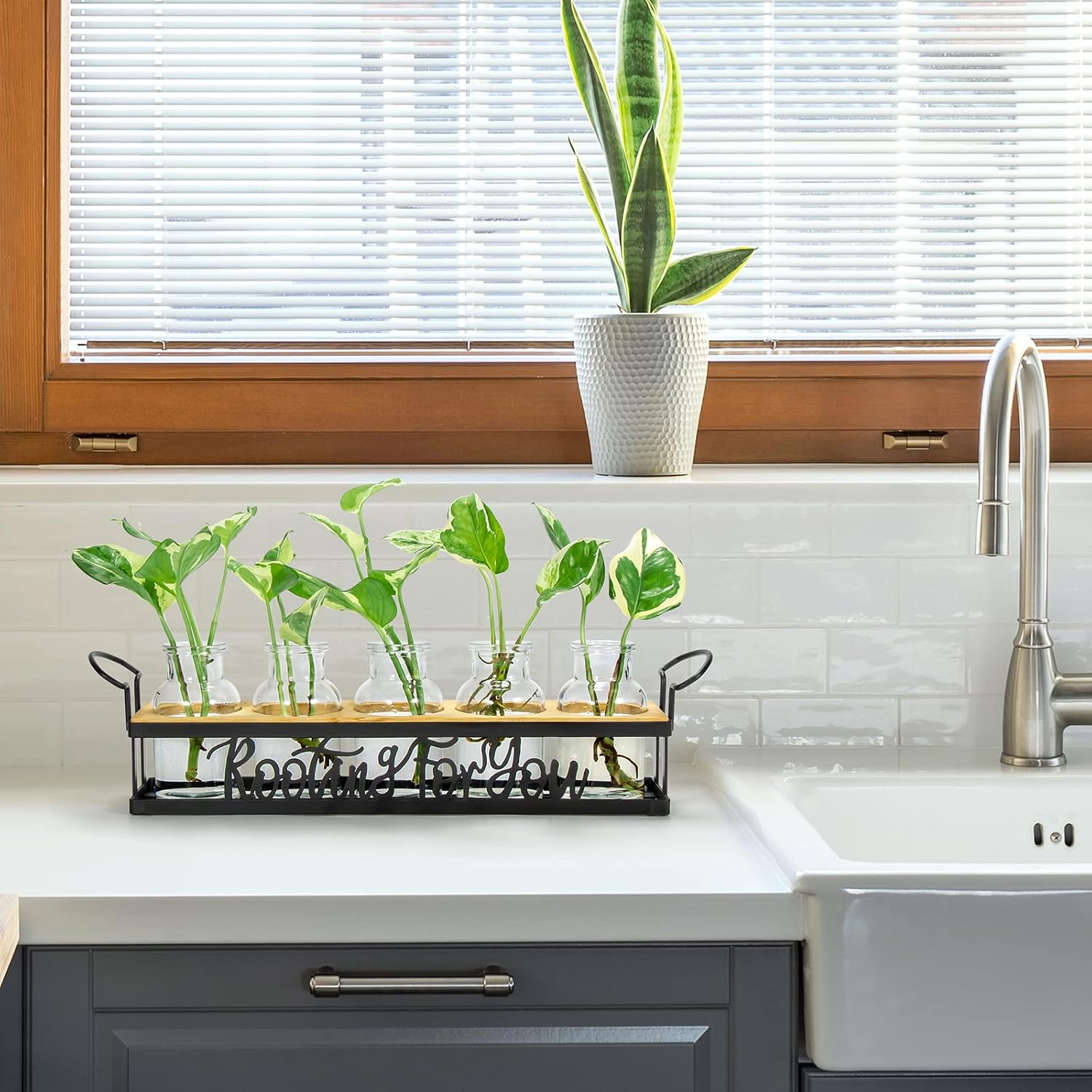Plant Propagation Station "Rooting for You" Hydroponic Planter Vase | 5 Glass Propagation Jars with "Rooting for You"