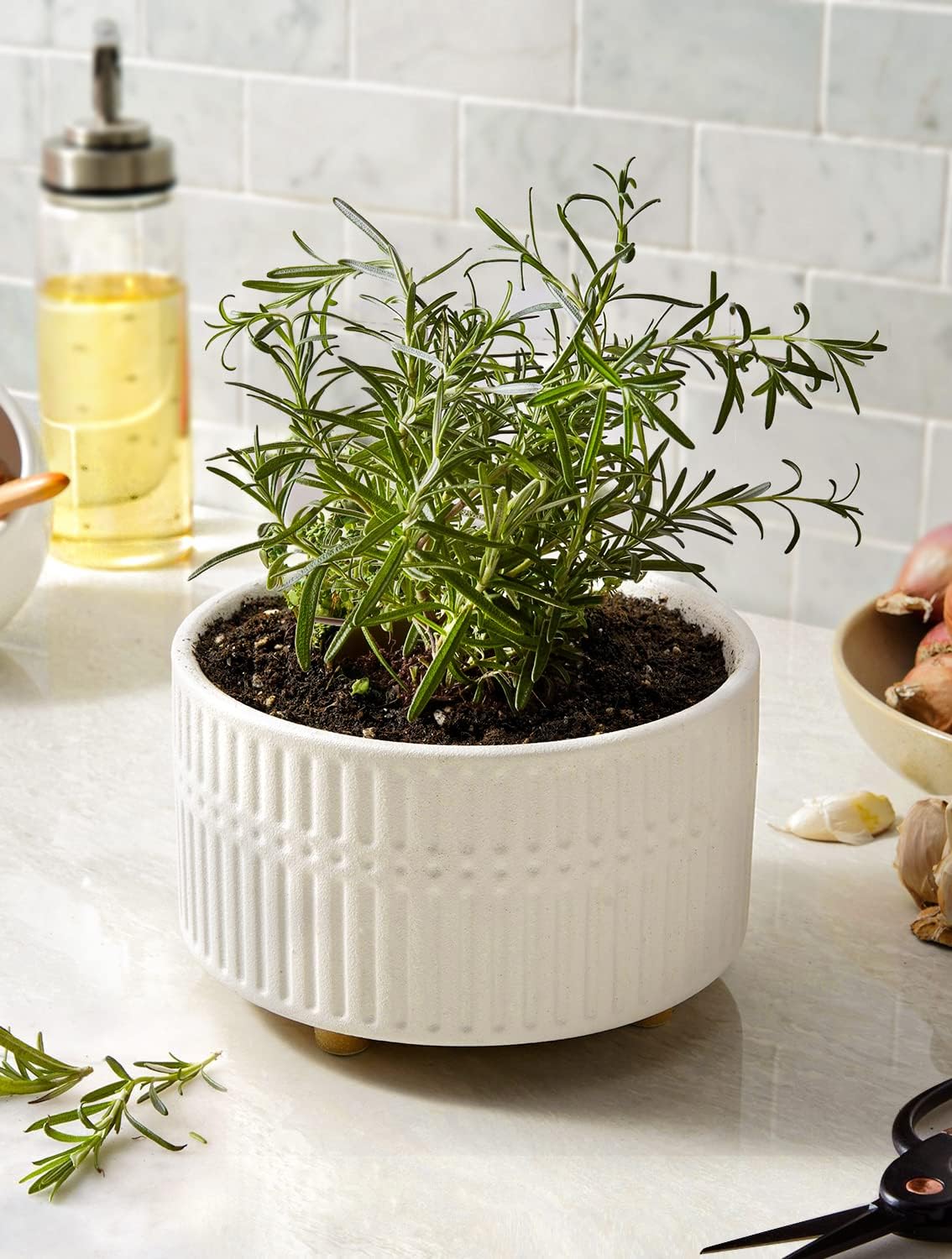 LE TAUCI Succulent Pots, 6.5+8 Inch Ceramic Indoor Plant Pot with Drainage Hole, Shallow Round Succulent Planters, Set