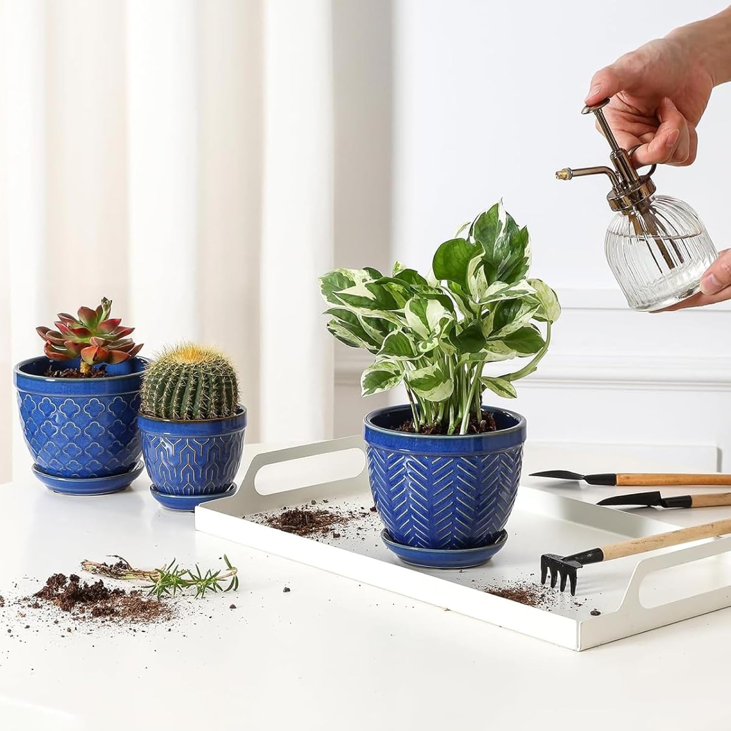 Sureasy Succulent Pots, 3.5 Inch Flower Pots for Indoor Plants, Small Plant Pots with Saucer & Drainage, Decorative