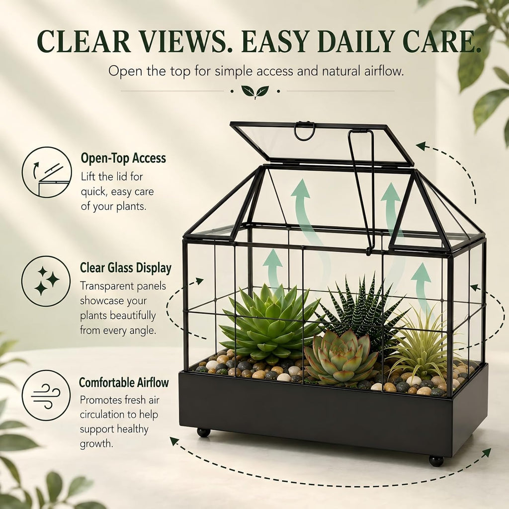 Large Tall Plant Terrarium Glass – Glass Greenhouse Terrarium with Lid and Tray,Indoor Tabletop Orchid Succulent Cacti