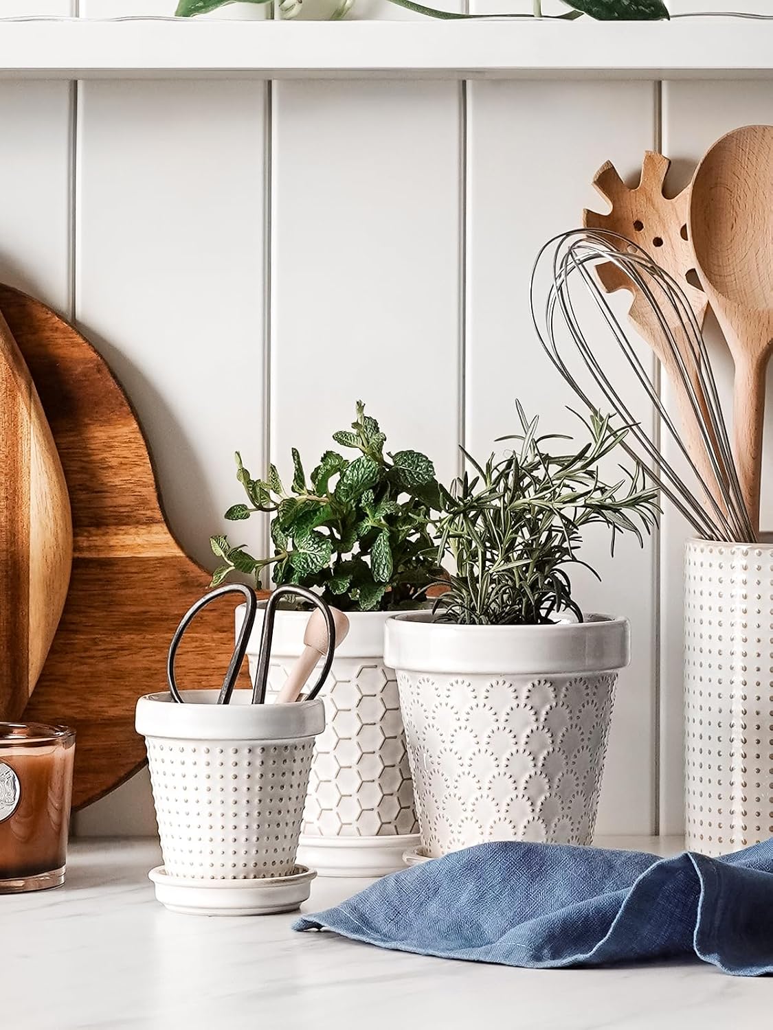 LE TAUCI Ceramic Succulent Pots, 4 Inch Small Plant Pot for Indoor Plant Cactus, Embossed Flower Pots with Drainage