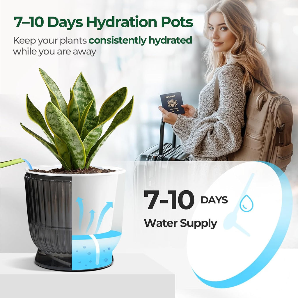 T4U Self Watering Pots for Indoor Plants 6 Inch 4 Pack Planter Gray | Clear visible water level, Pothos ferns herbs