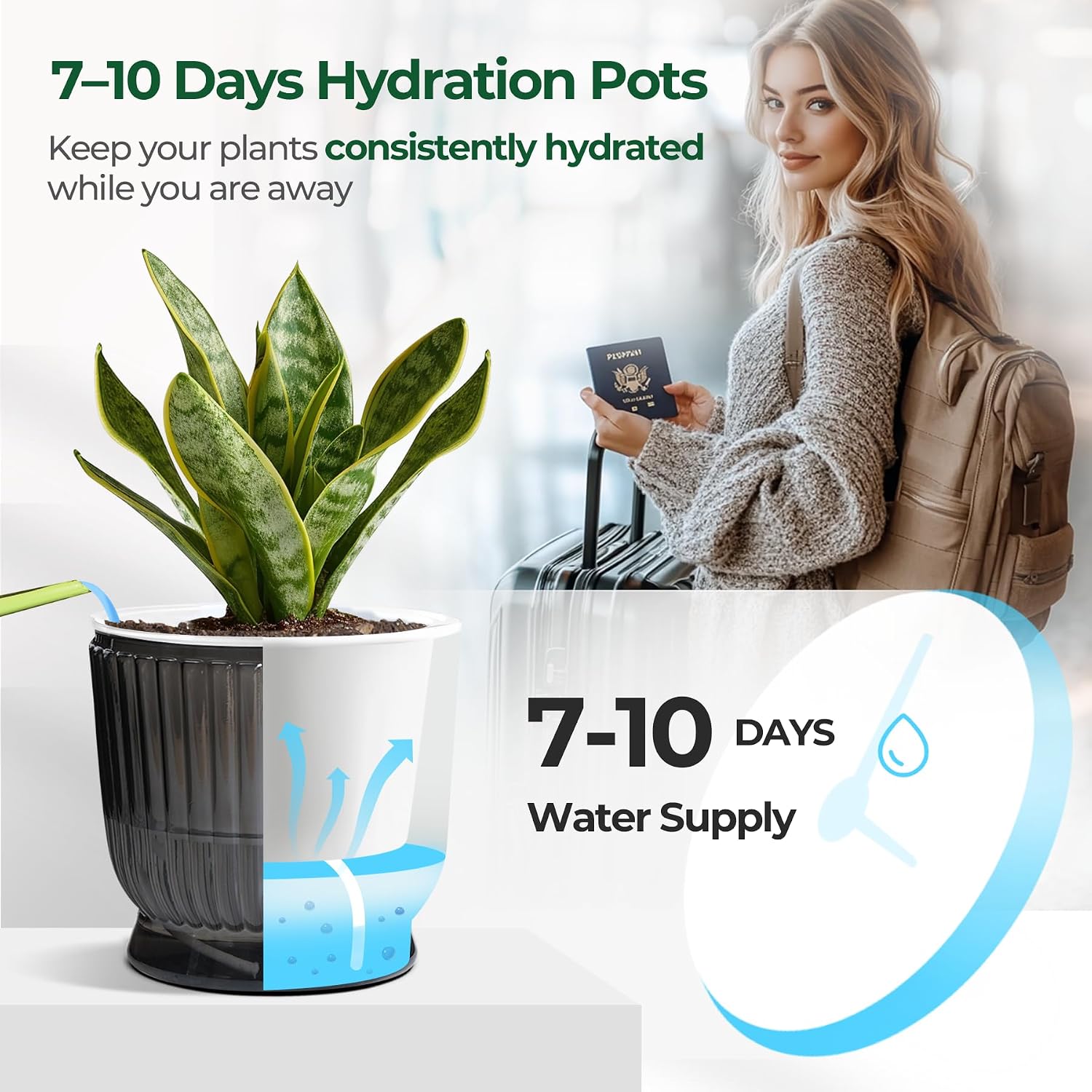 T4U Self Watering Pots for Indoor Plants 6 Inch 4 Pack Planter Gray | Clear visible water level, Pothos ferns herbs