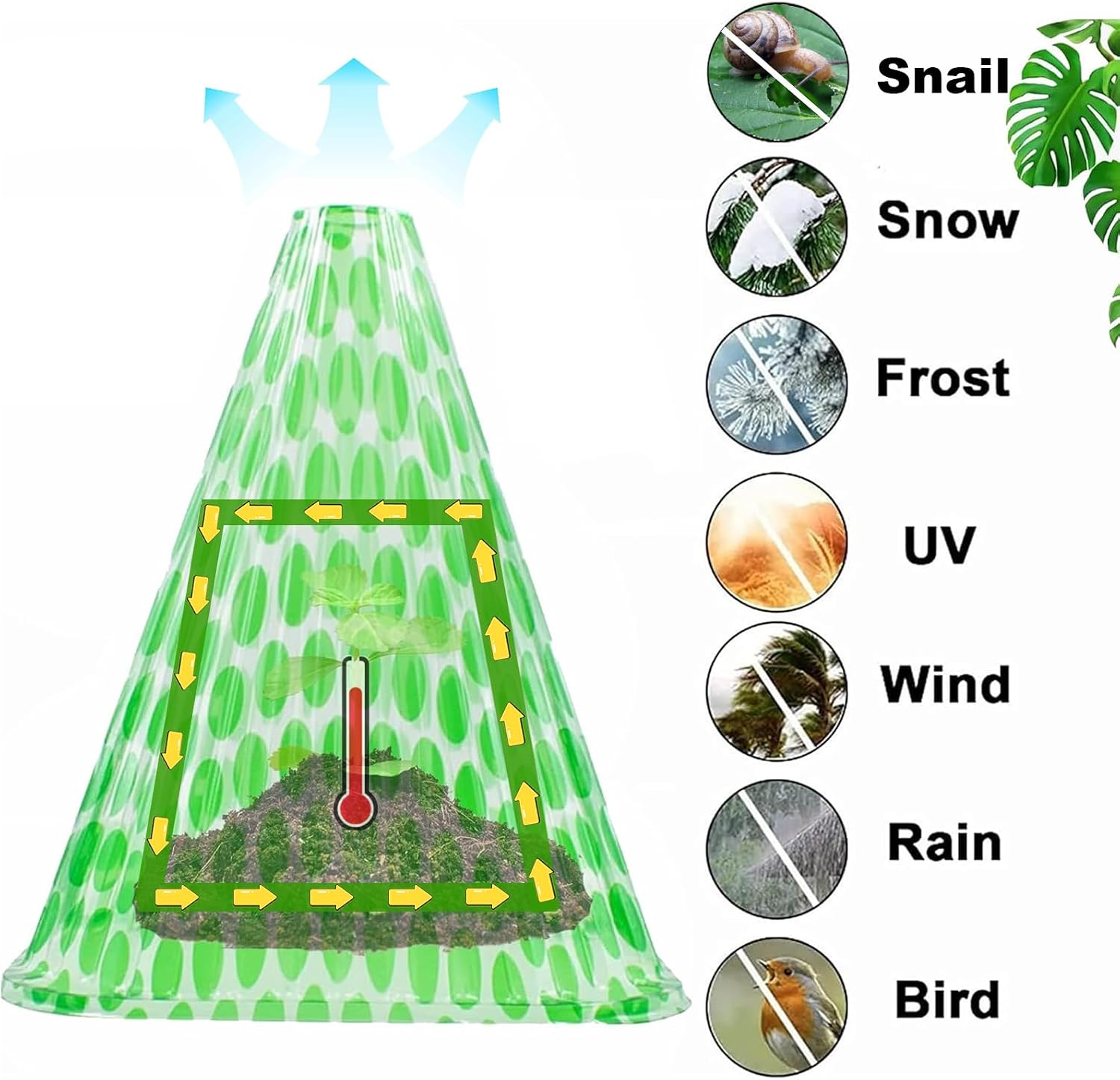 Garden Cloches for Plants, 20 Pack Plant Covers | Reusable Plant Bell Cover Protects Plants from Birds, Frost,Snails