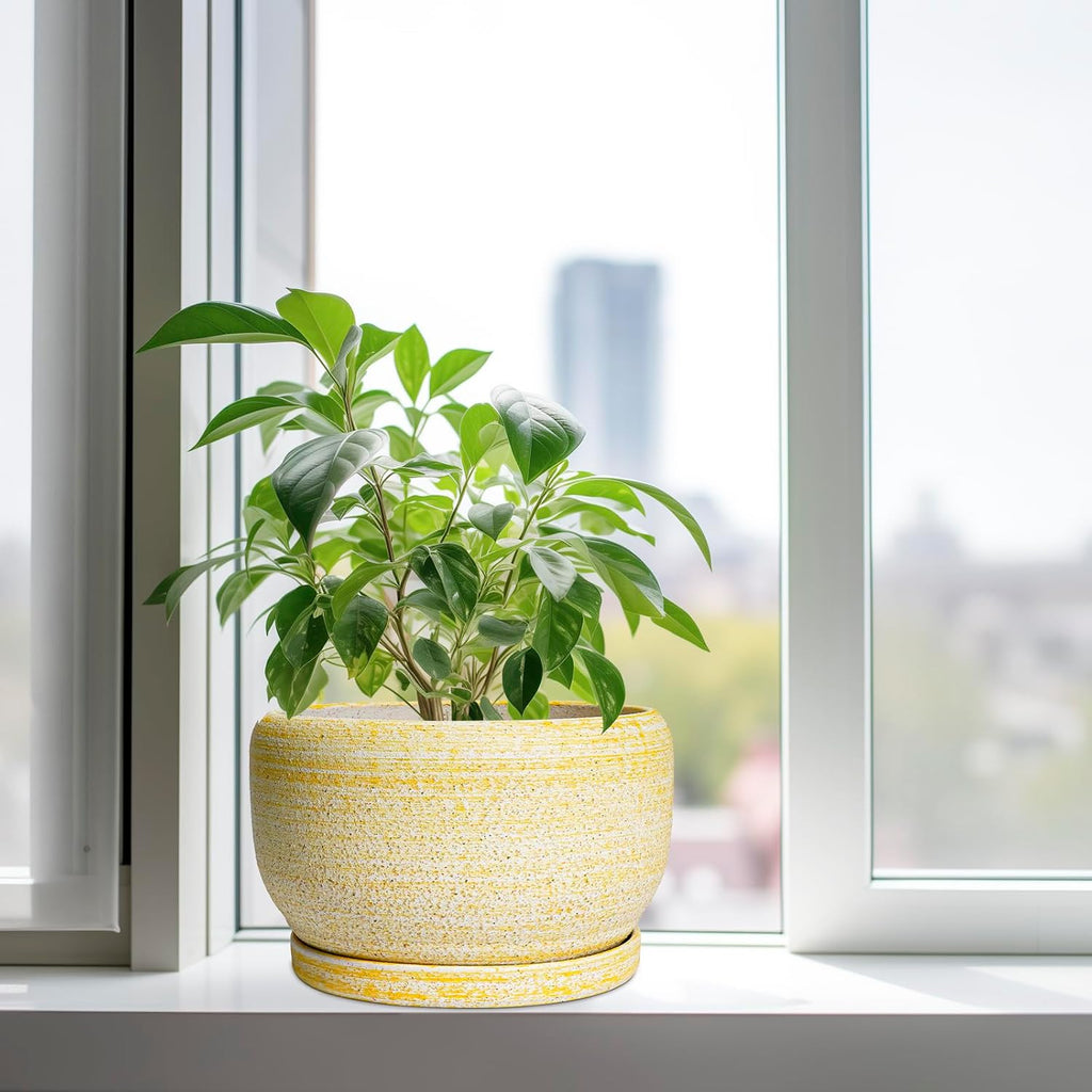 SQOWL Ceramic Planters for Indoor Plants - 10 Inch Plant Pot with Drainage Hole and Saucer, Round Ceramic Flower Pot