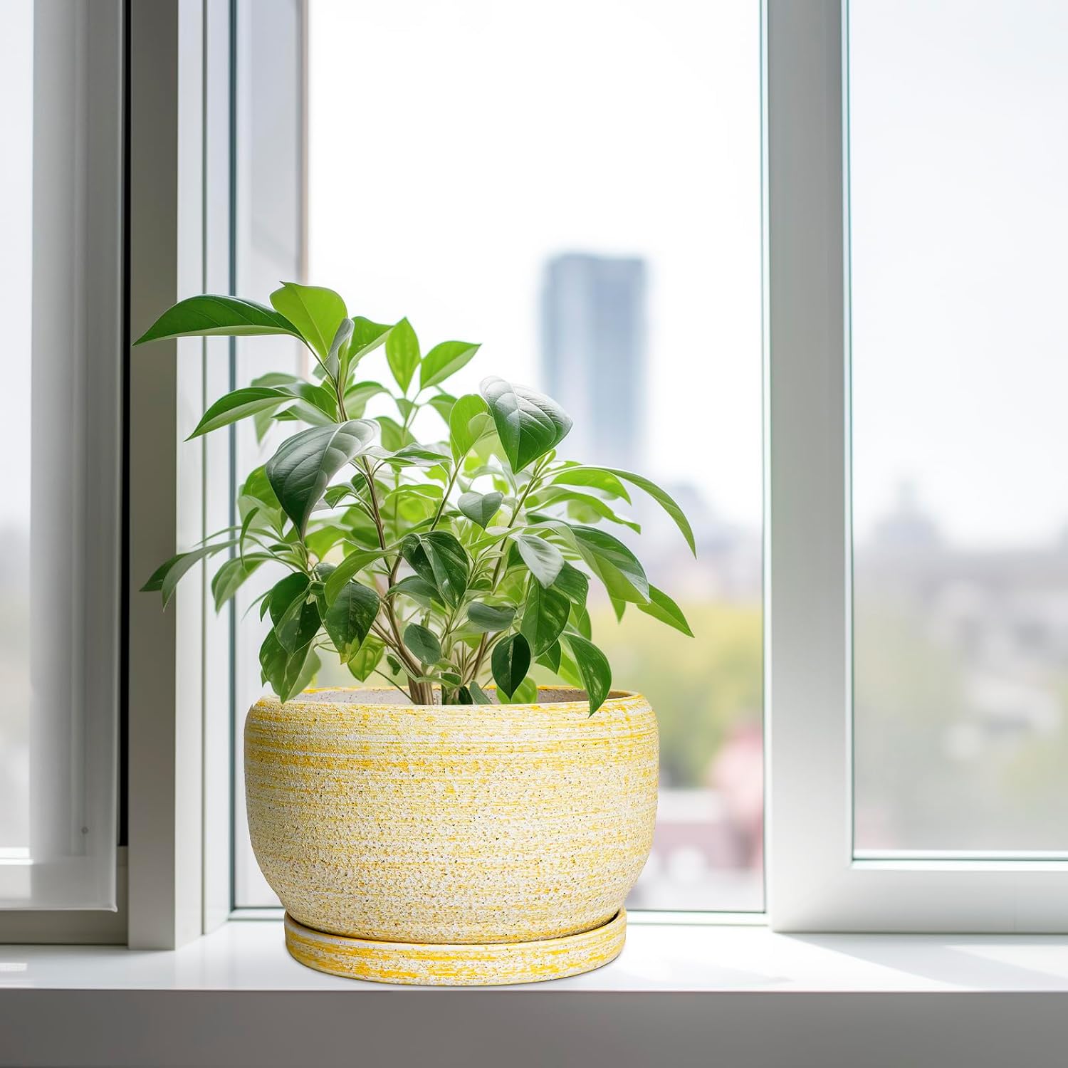 SQOWL Ceramic Planters for Indoor Plants - 10 Inch Plant Pot with Drainage Hole and Saucer, Round Ceramic Flower Pot