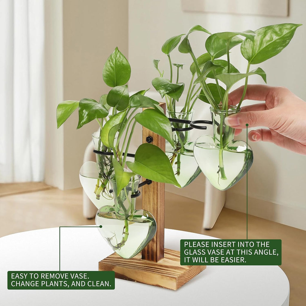 Plant Terrarium Propagation Stations with Wooden Stand | Glass Vase for Indoor Hydroponics Home Garden Office