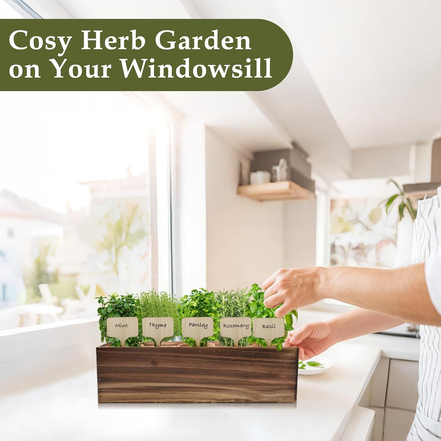 5 Herb Garden Planter Indoor with Wooden Box, Home Kitchen Seed Starter Kit Including Basil, Thyme, Parsley, Rosemary