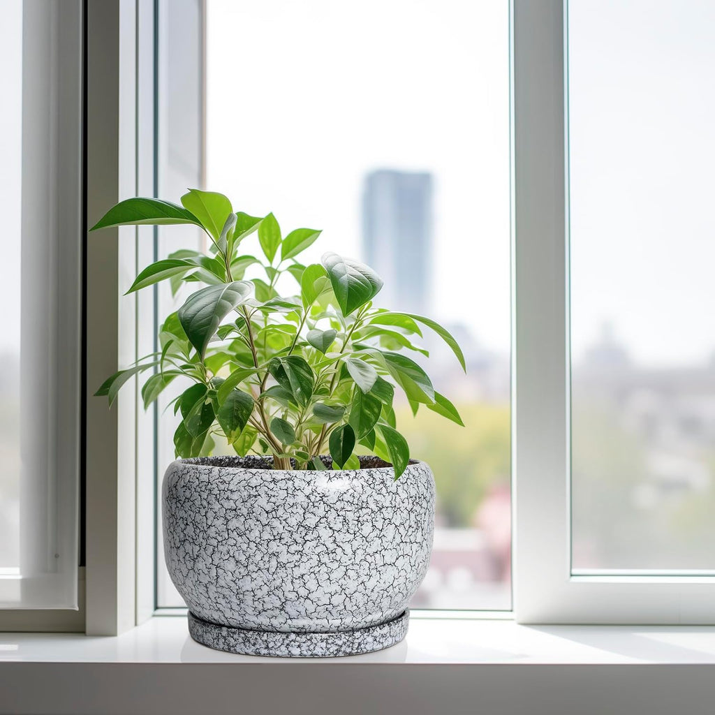 SQOWL Ceramic Planters - 10 Inch Ceramic Flower Pot with Drainage Hole and Saucer, Decorative Plant Pot Indoor, Round