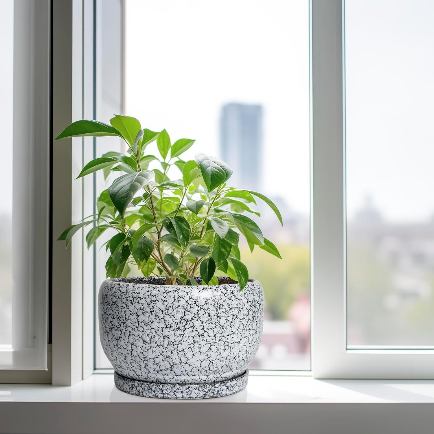 SQOWL Ceramic Planters - 10 Inch Ceramic Flower Pot with Drainage Hole and Saucer, Decorative Plant Pot Indoor, Round
