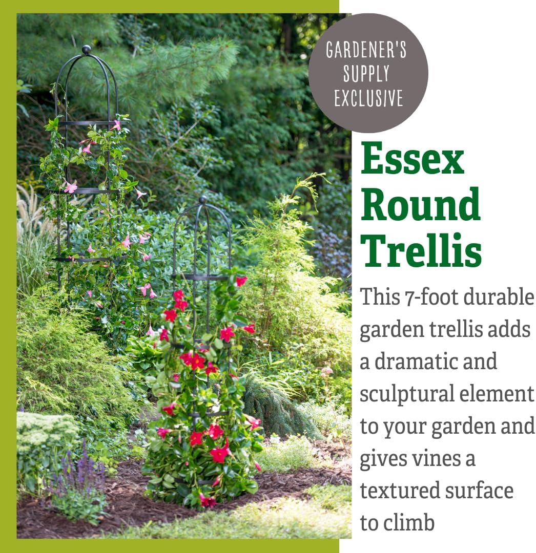 Gardener's Supply Company 7 Ft Essex Round Trellis | Sturdy Powder-Coated Steel Freestanding Obelisk Garden Trellis for