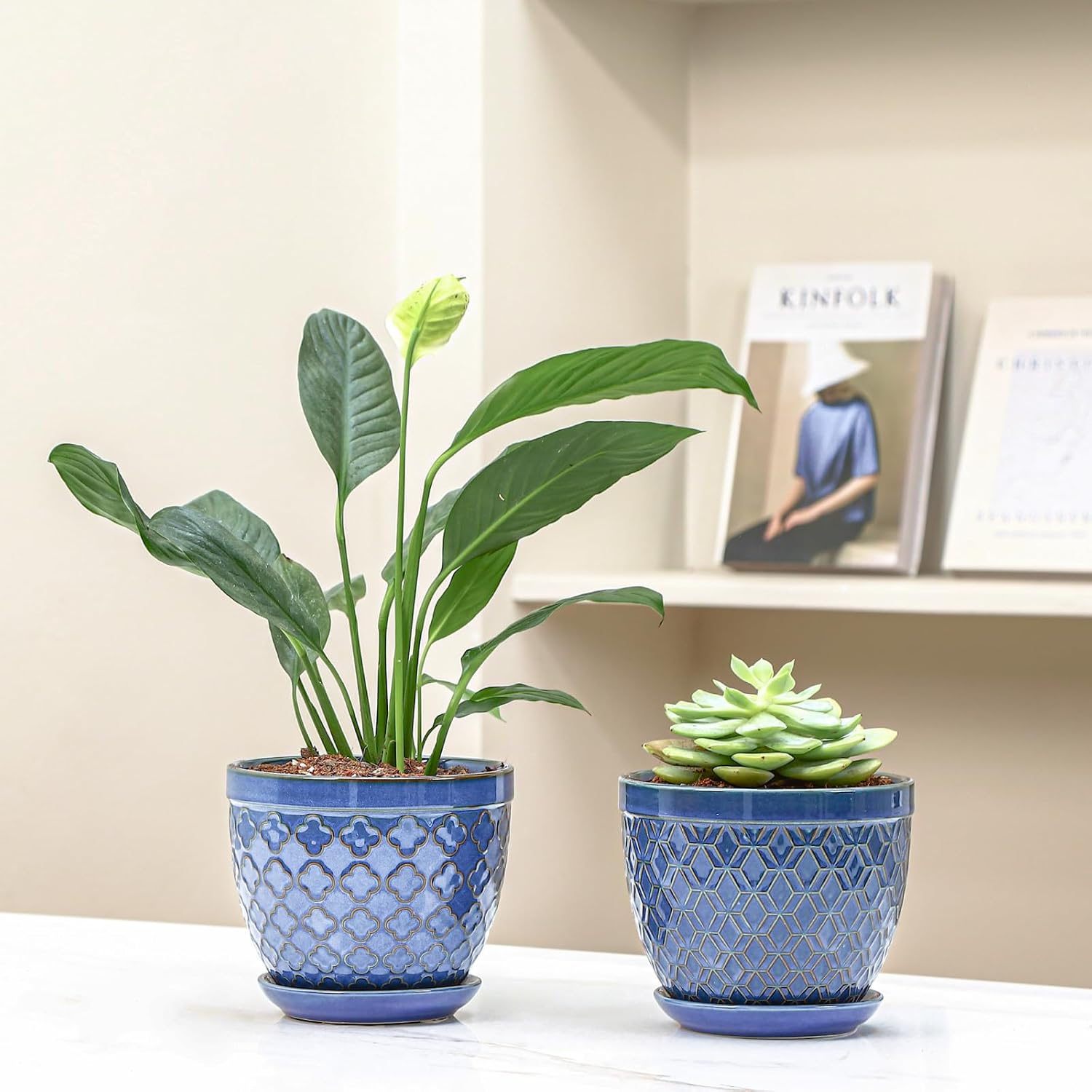 Sureasy Ceramic Indoor Plant Pots - 5.6 Inch Flower Pots for Plants with Drainage Hole and Saucer, Embossed Planter for