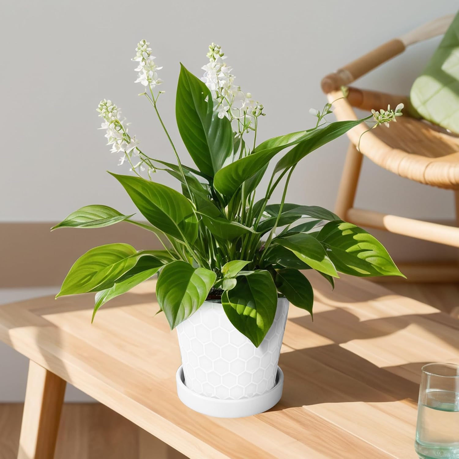 BUYMAX 6 Inch Plant Pot Ceramic Flower Pots Set of 2 with Drainage Hole | Includes Ceramic Trays | Clean White Finish