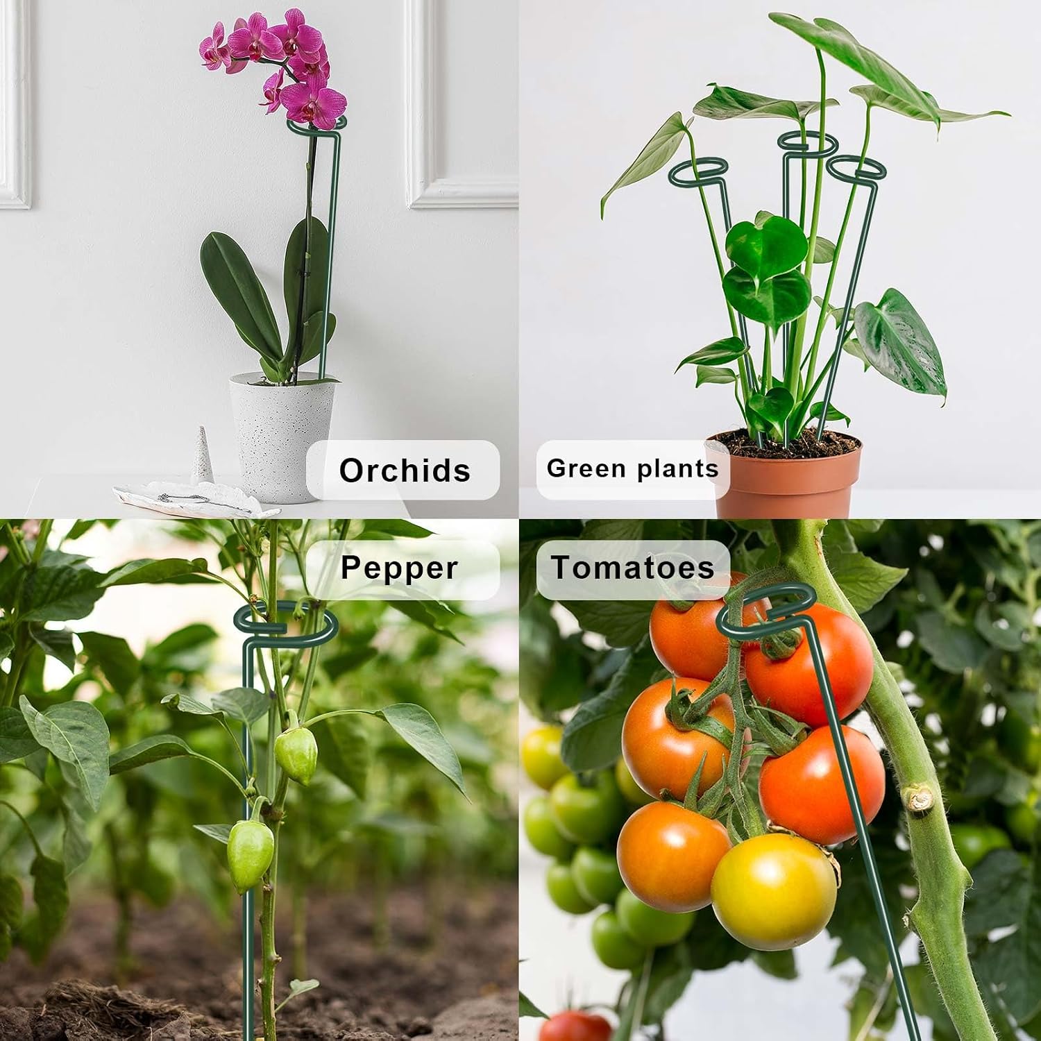 36 Inch Plant Sticks Support Tall Three Sizes (12 or 24 or 36 Inch), 8 Pcs 4.5mm Adjustable Outdoor and Indoor Plant
