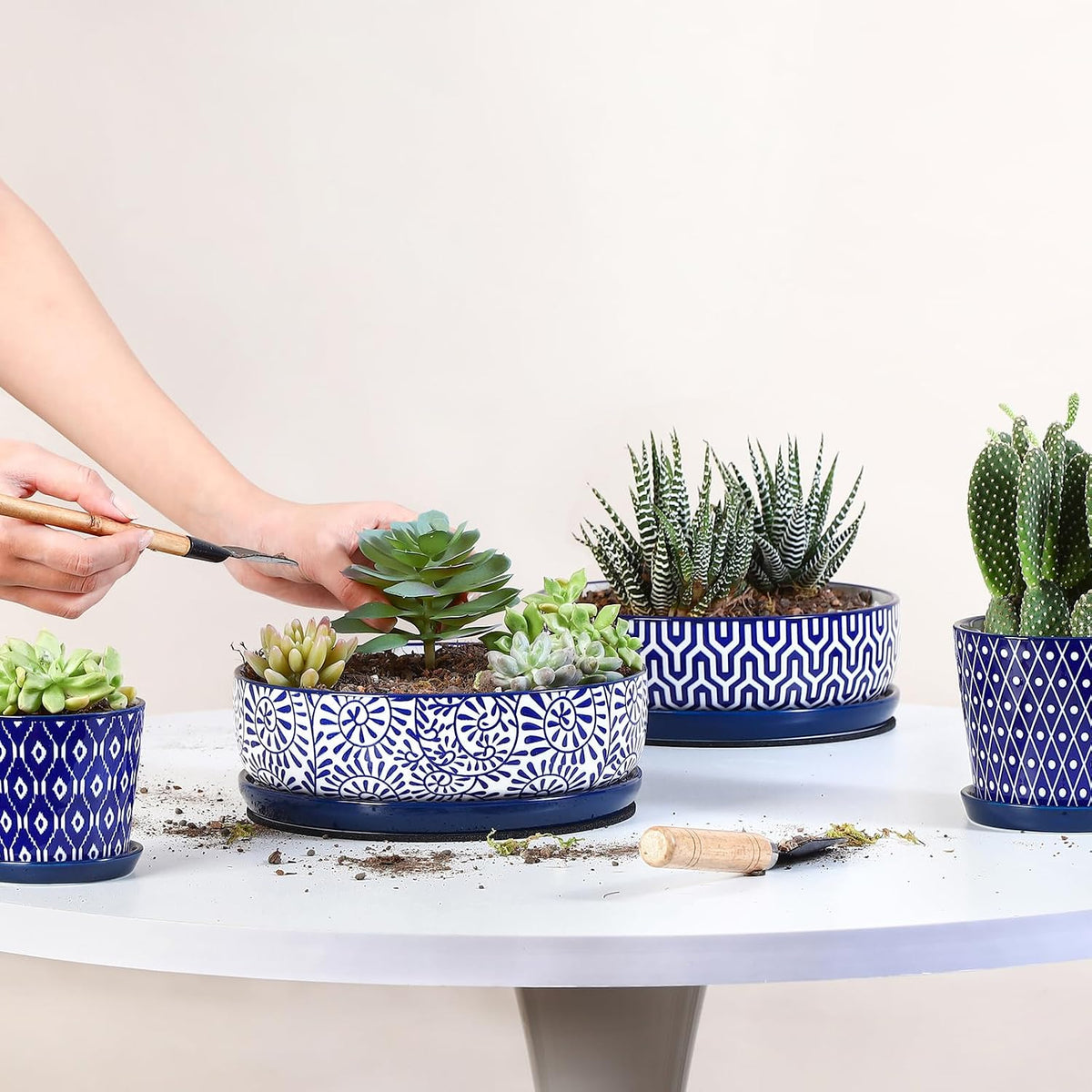 Selamica Ceramic Succulent Pots, Shallow Succulent Planters with Drainage Hole & Saucer, Indoor Plant Pots for Cactus