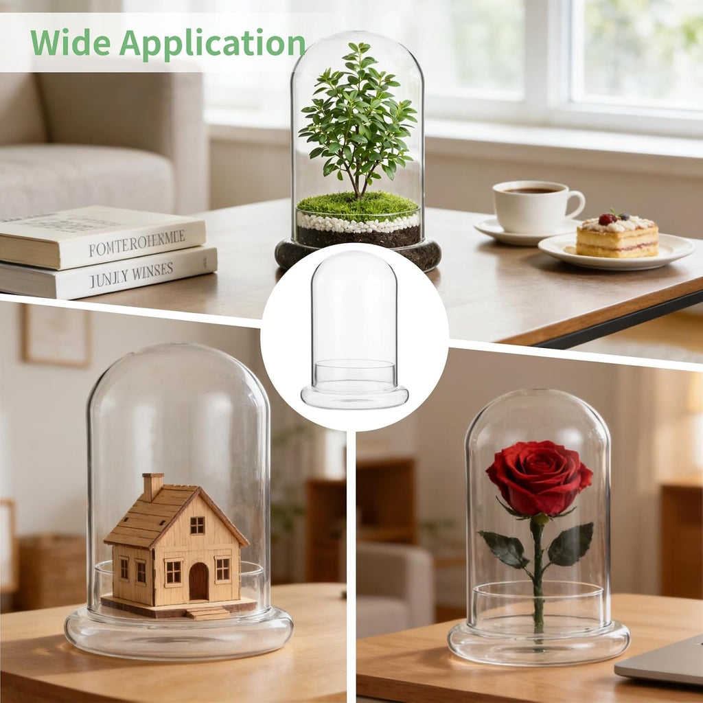 Glass Display Cloche Dome, 8.3 x 5.9 in Plant Terrarium Container with Base, Clear Glass Cover, Decorative Tabletop