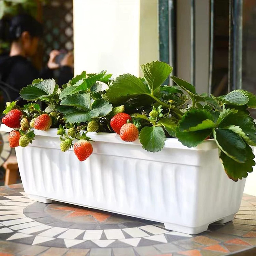 Window Box Planter, 6 Pcs 17" Flower Rectangle Planter Boxes Outdoor, White | with Spray Bottle, Garden Tool Kit