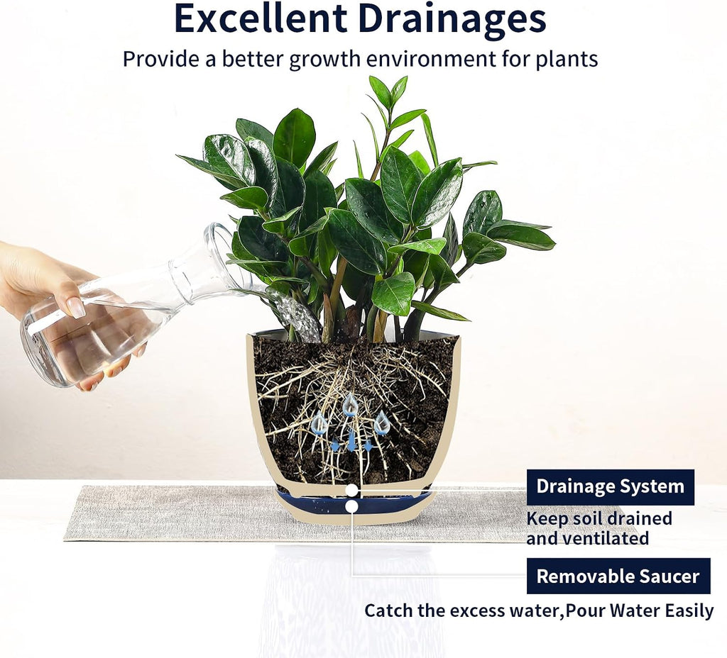 Selamica Ceramica Plant Pots, 6.5 Inch Flower Pots Set of 2 with Drainage Holes & Saucer, Planters for Indoor Plants