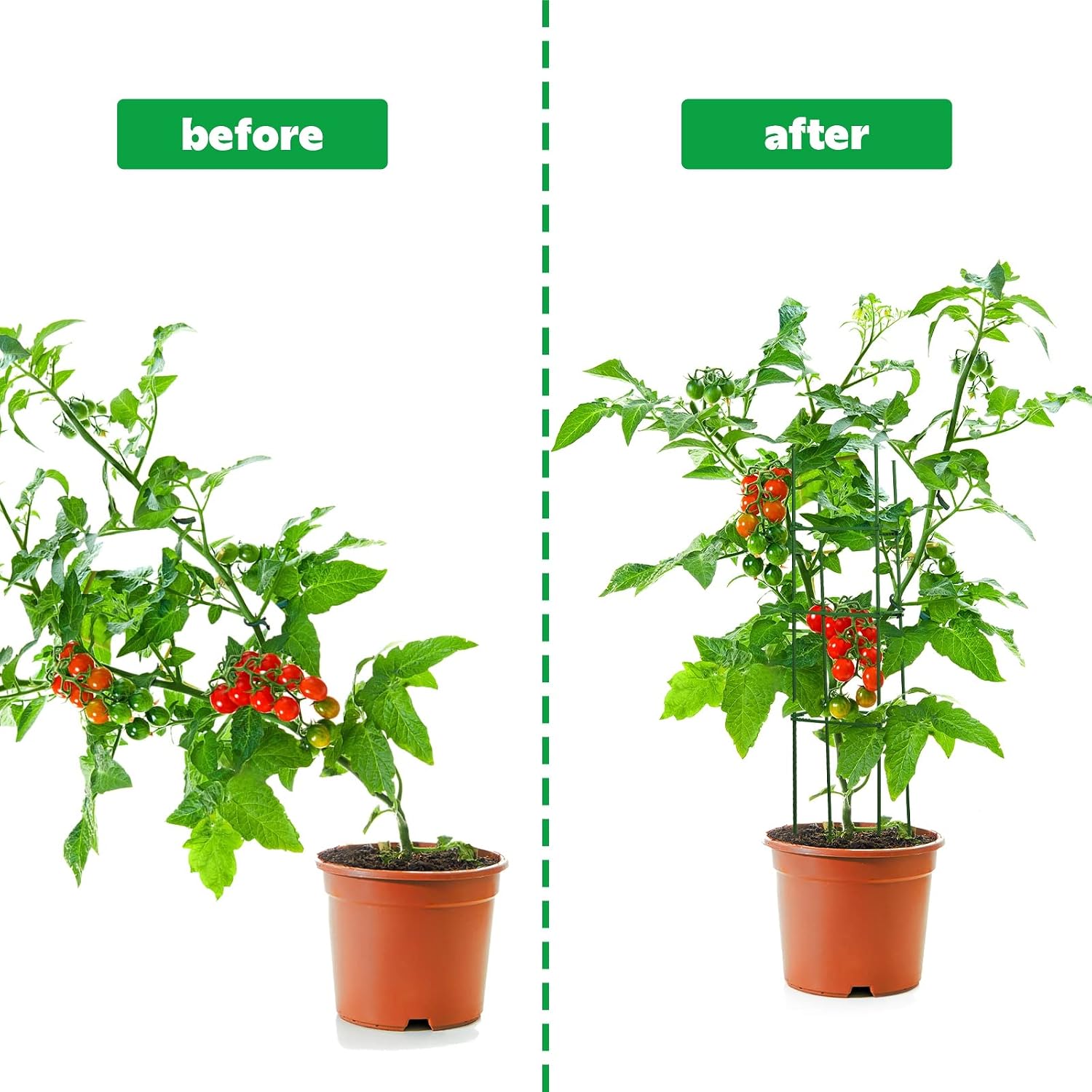 10 Packs Tomato Cages for Garden Support Up to 48" Tomato Plant Stakes Support with Adjustable Snap Arms Clips Plastic