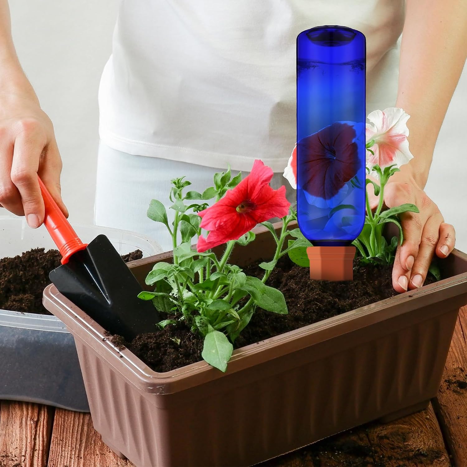 SiliFine 6 Sets Terracotta Watering Spikes,Dark Blue and Terracotta | 26 oz Bottles for Slow Release Watering, Self