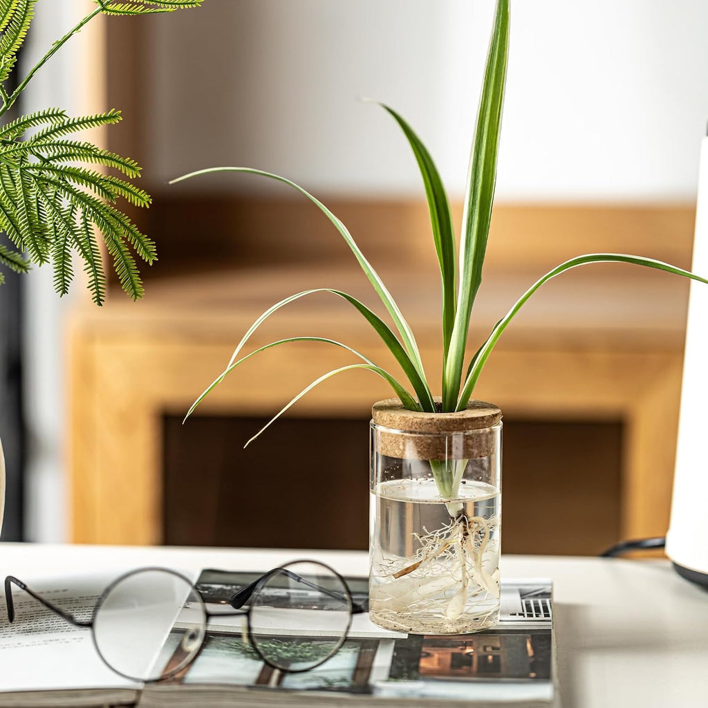 Separated Desktop Glass Flower Vases with Wooden Saucers - Ideal Plants Propagation Stations for Living Room, Bedroom
