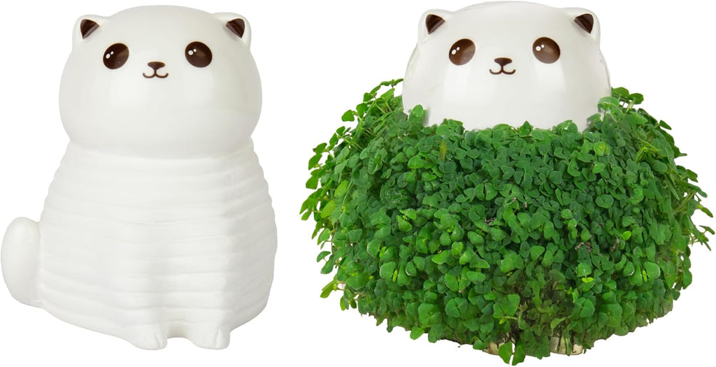 Gift Republic Cat Chia Planter Desktop Sprouting Chia Animal Fun Grow Kit