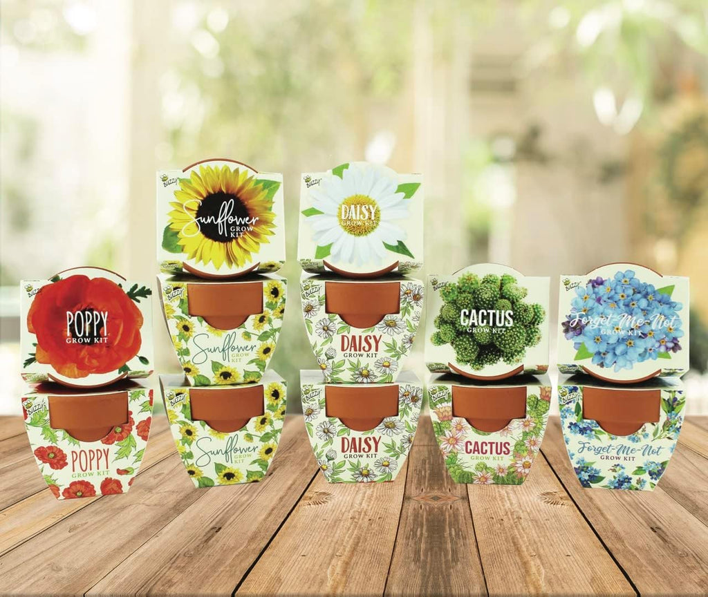 BUZZY Seeds Mini Terracotta Grow Kit 12-Pack - Mini Terracotta Pot Grow Set - Complete Indoor/Outdoor Gardening Kit