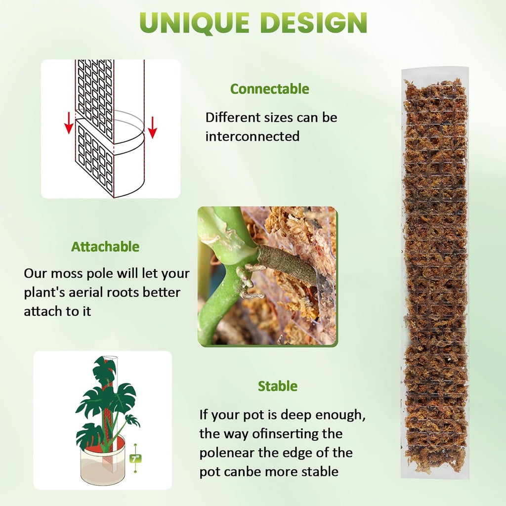 EOX Plastic Moss Pole for Monstera, 24/36/48-Inch, 6-Pack | Clear D-Shaped Design, Fold-to-Assemble, Sphagnum Moss Not