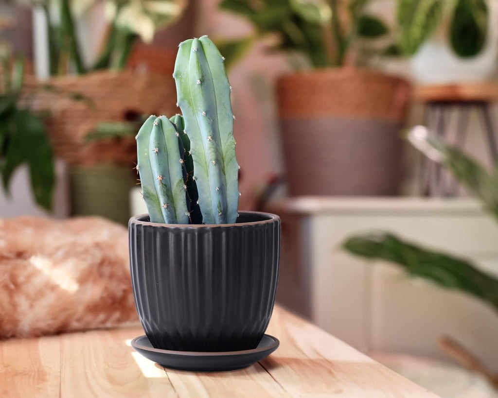 D'vine Dev 2-Pack Stoneware Planter Pots, 4.5/5.8 in, Black, 99-D-2 | Vertical Ribbed Texture, Smooth Glazed Finish