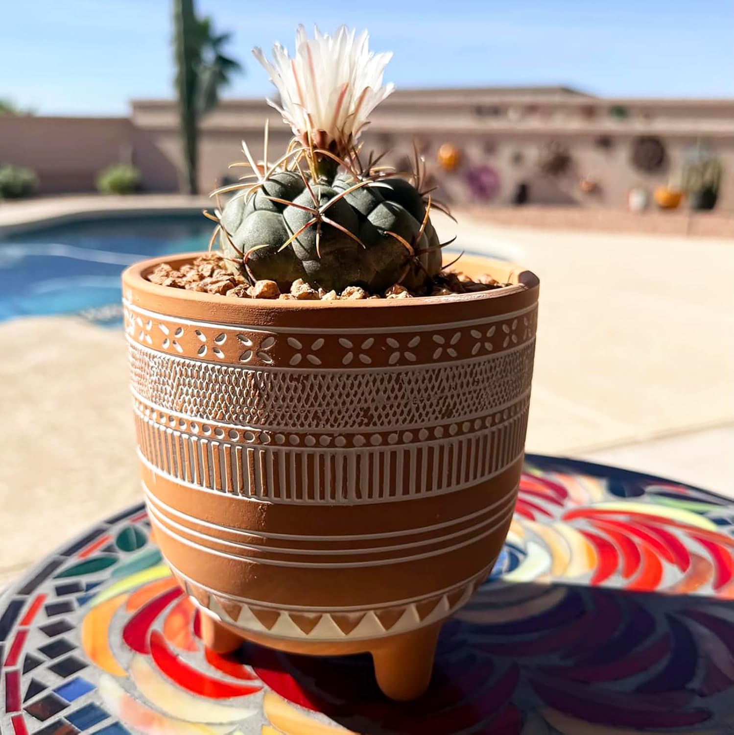 Frcctre 2 Pack Terracotta Pots, 6 Inch Succulent Clay Pottery Plant Pots Cactus Terra Cotta Flower Pot with Drainage