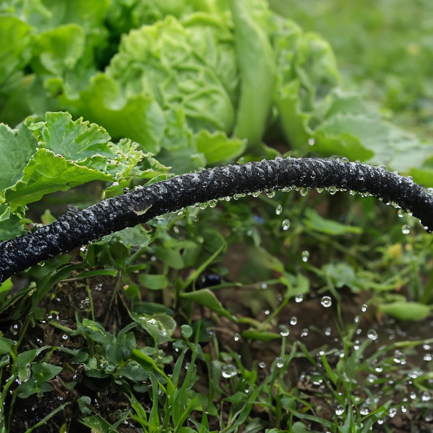 Hourleey Flat Soaker Hose 100 FT for Garden, 100' (50FT x 2) Linkable Consistent Drip Irrigation Hose, Leak-free
