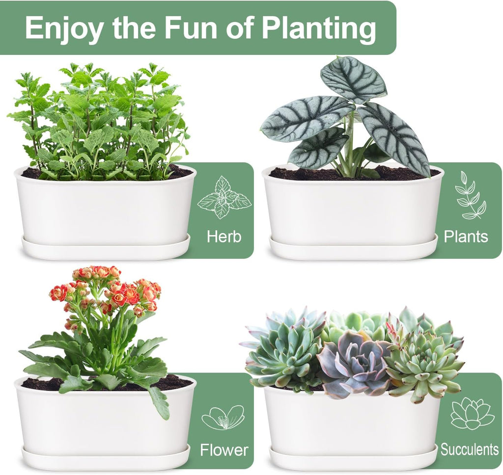 Set of 8 White Oval Window Sill Planters with Drainage Holes and Trays（7 Inch） for Herbs Basil Orchids Succulents