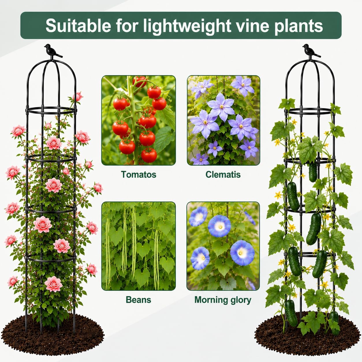 OTOSUNNY 2 Pack 6 ft Garden Obelisk Trellis for Climbing Plants Outdoor | 6 ft Tall Metal Garden Trellis for Roses