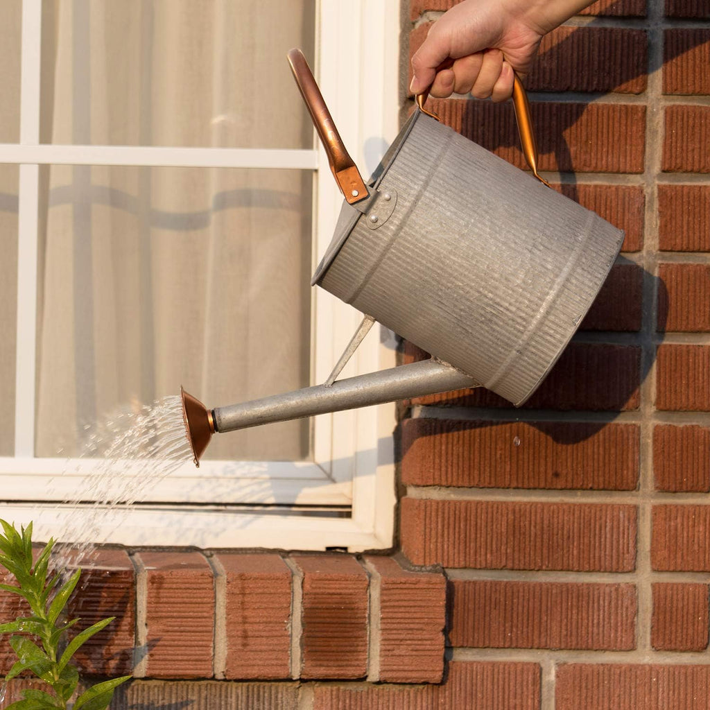 1 Gallon Watering Can, Metal Watering Can with Removable Spout, Farmhouse Galvanzied Water Can, Nice Plant Water Can