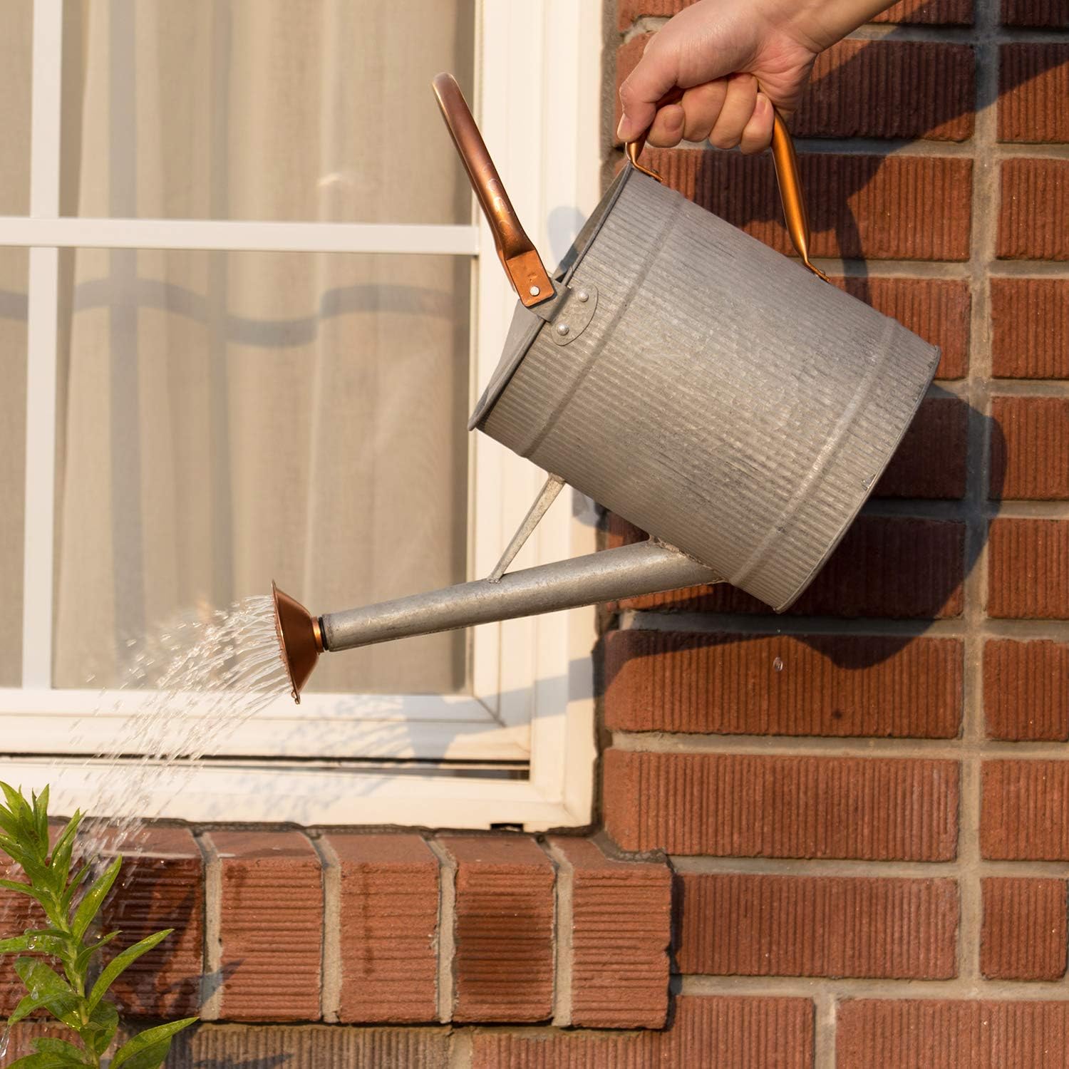 1 Gallon Watering Can, Metal Watering Can with Removable Spout, Farmhouse Galvanzied Water Can, Nice Plant Water Can